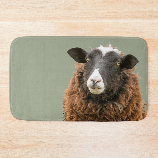 Artikelvorschau, Zwartbles Schafe entworfen und verkauft von Jane Stanley Photography.
