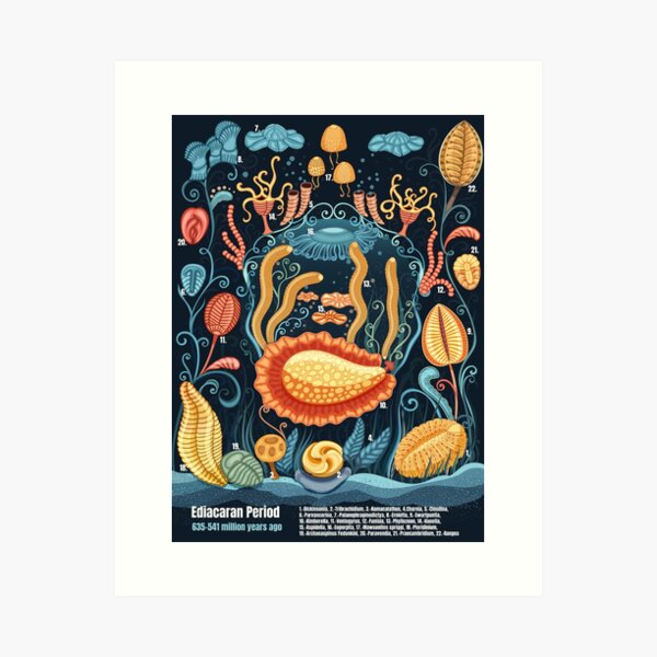 Item preview, Ediacaran Biota Colorful poster, First Multicellular Organisms on The Planet designed and sold by TimeLineArtist.