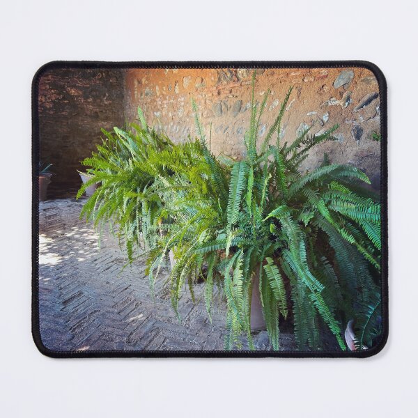 Item preview, Verdant Alcove designed and sold by OpheliaObjects.