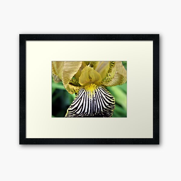 In Costume Framed Art Print