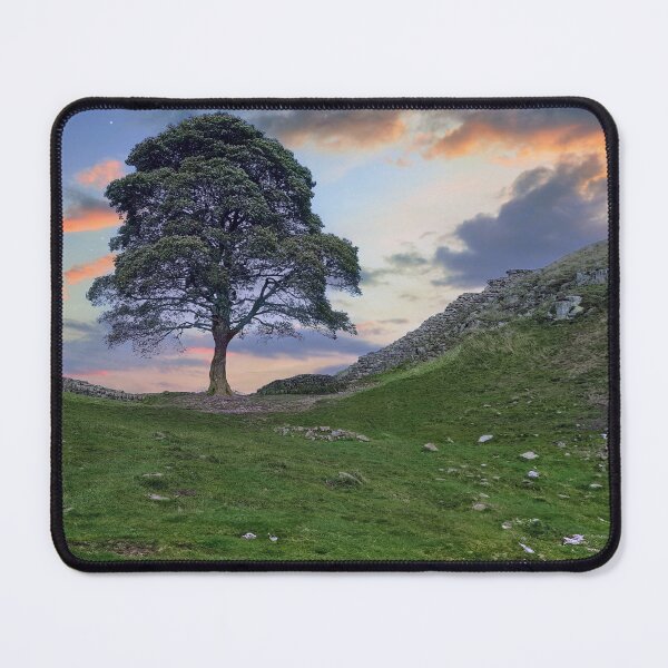 Item preview, The Sycamore Gap Tree designed and sold by Tom McPherson Photography.