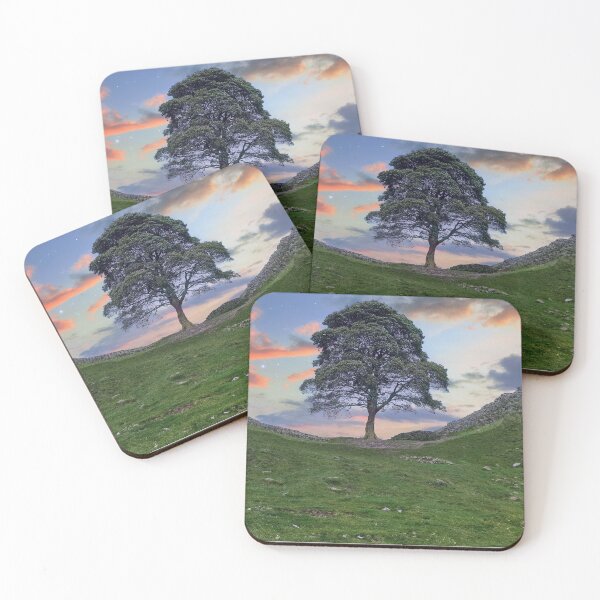 Item preview, The Sycamore Gap Tree designed and sold by Tom McPherson Photography.