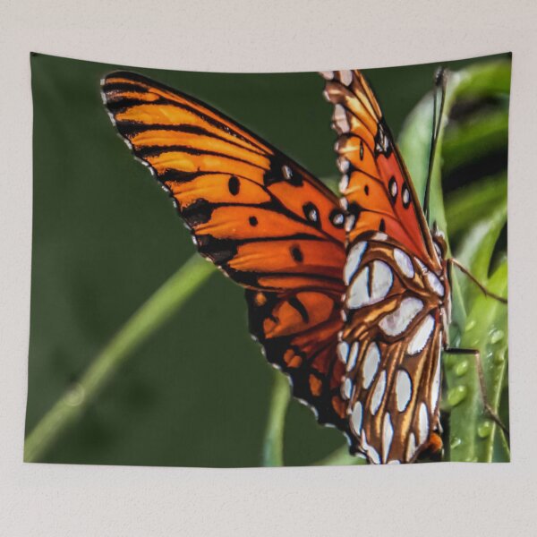 Item preview, The Monarch designed and sold by heatherfriedman.