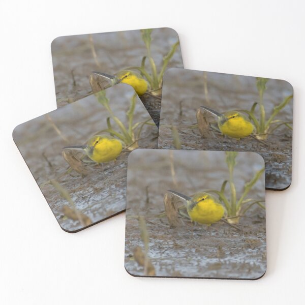 Item preview, Western Yellow Wagtail designed and sold by LaurenTucker.
