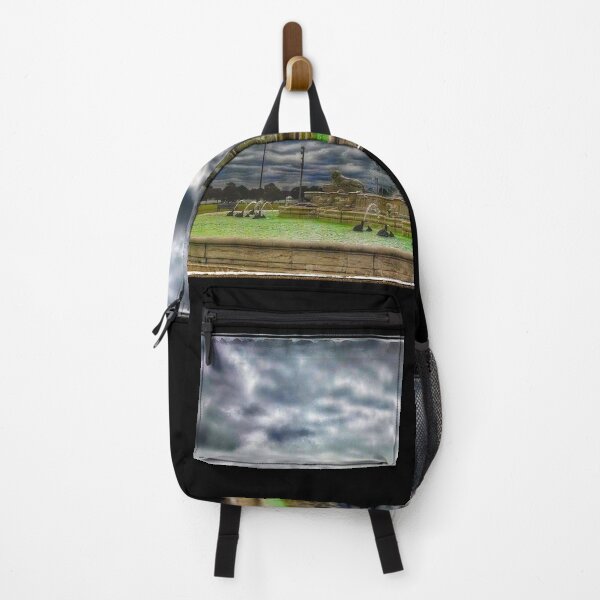 Item preview, Belle Isle, Scott Fountain, Detroit designed and sold by Art by SuJaKul.