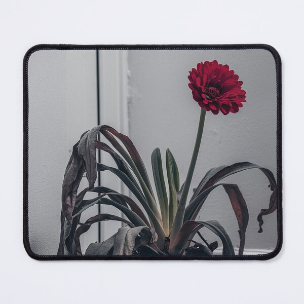 Item preview, Struggling? designed and sold by AnthonyThomas.