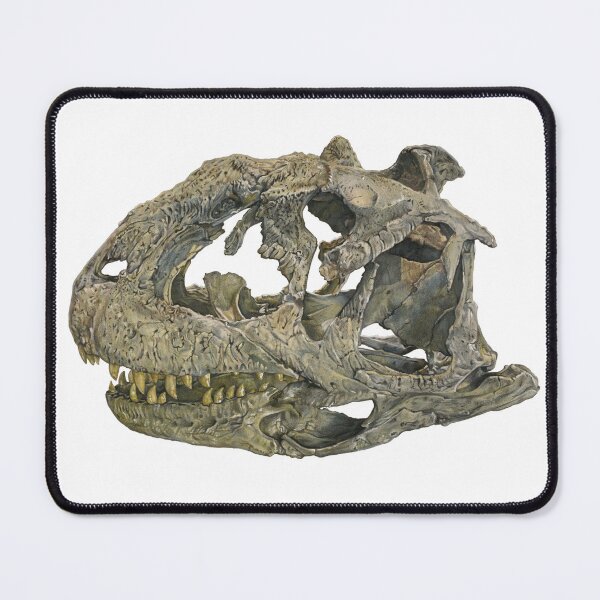 Item preview, Majungasaurus Skull Illustration designed and sold by hazelfricke.