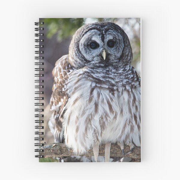 Item preview, Barred Owl designed and sold by bstoecker.