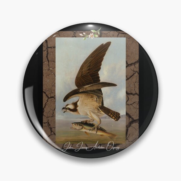 Item preview, John James Audubon Osprey Colorful Wildlife Design designed and sold by EarthArtDesigns.