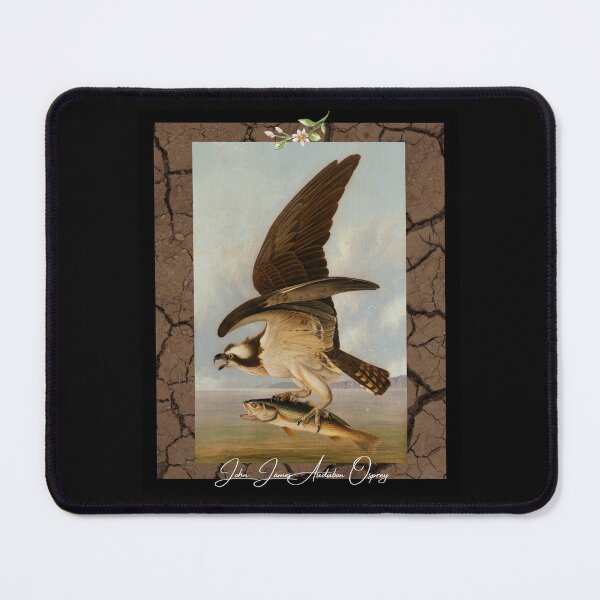 Item preview, John James Audubon Osprey Colorful Wildlife Design designed and sold by EarthArtDesigns.