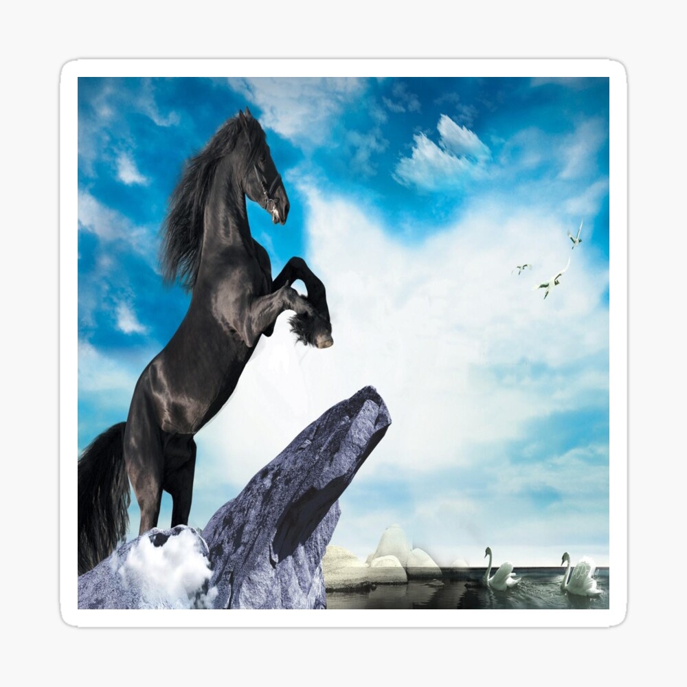 Poster mural imprimé HD - Cheval noir fond ciel bleu