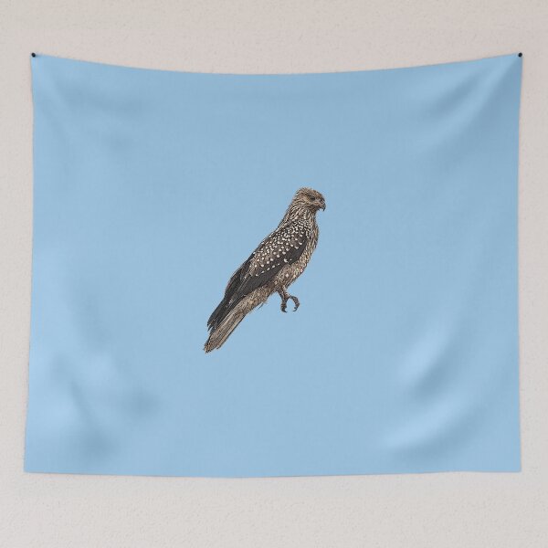 Item preview, Whistling Kite Bird Color Design  designed and sold by designsasstultd.