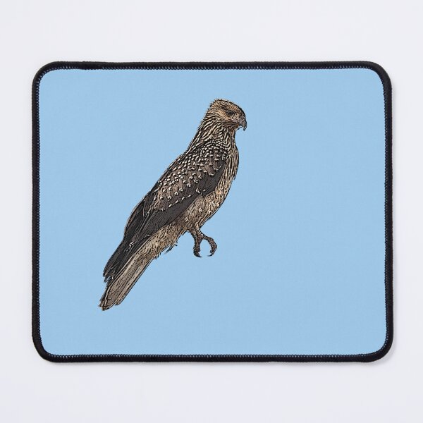 Item preview, Whistling Kite Bird Black Alternate Design designed and sold by designsasstultd.