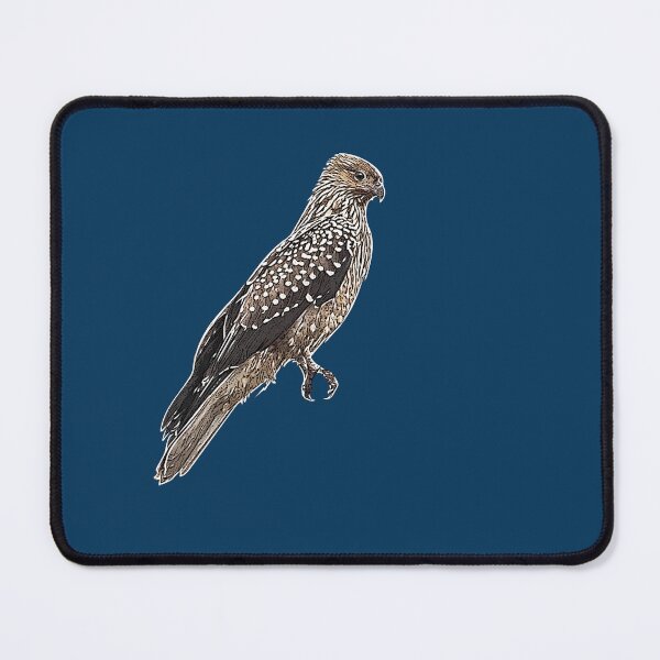 Item preview, Whistling Kite Bird White Alternate Design designed and sold by designsasstultd.