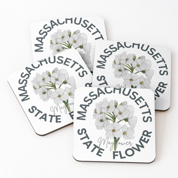 Item preview, Massachusetts Mayflower State Flower Classic T-shirt  designed and sold by ThinkNature!.