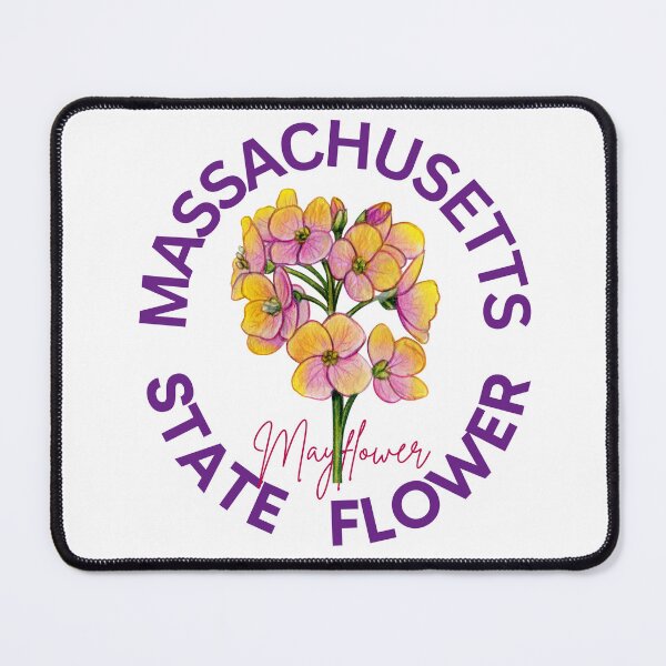 Item preview, Massachusetts Mayflower State Flower Classic T-shirt designed and sold by ThinkNature!.