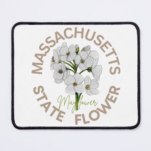 Item preview, Massachusetts Mayflower State Flower Classic T-shirt  designed and sold by ThinkNature!.