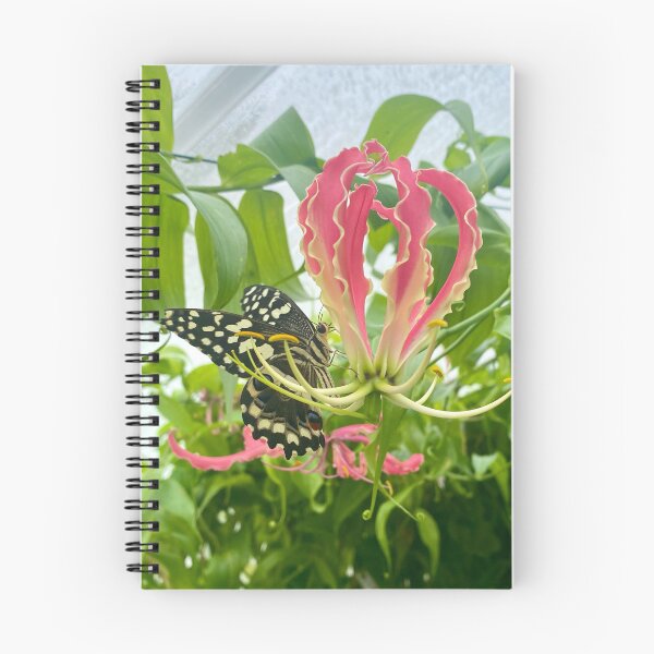 Item preview, Flame Lily with a Butterfly designed and sold by SnapsBySara.
