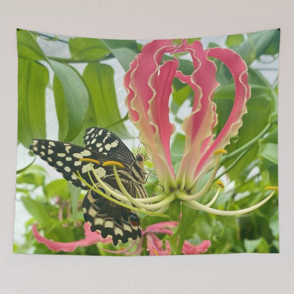 Item preview, Flame Lily with a Butterfly designed and sold by SnapsBySara.