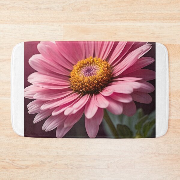 Item preview, Capture the charm and vibrancy of a pink daisy flower in full bloom designed and sold by arjad3n.