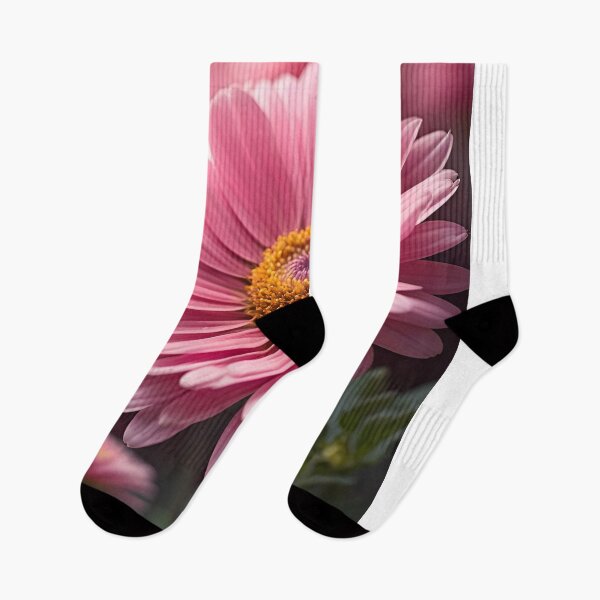 Item preview, Capture the charm and vibrancy of a pink daisy flower in full bloom designed and sold by arjad3n.
