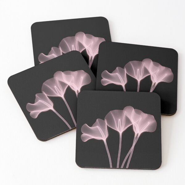 Item preview, Transparent pink flowers on black. Beautiful. Modern art work. designed and sold by terrysmith56.
