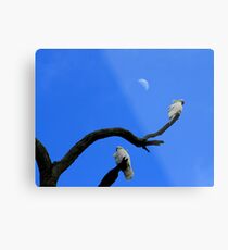 Under the moon Metal Print