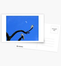 Under the moon Postcards