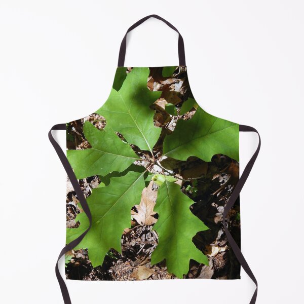 Item preview, Shaded Red Oak Sapling designed and sold by gistinker.
