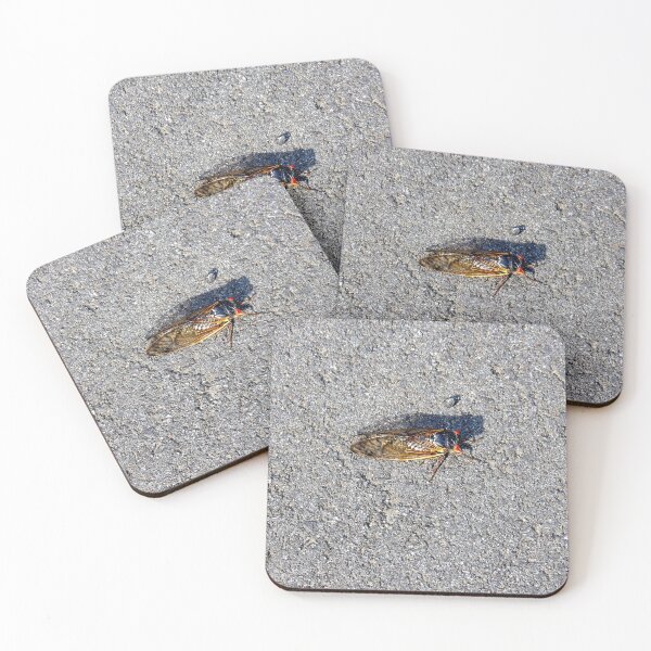 Item preview, Newly Emerged Cicada designed and sold by gistinker.