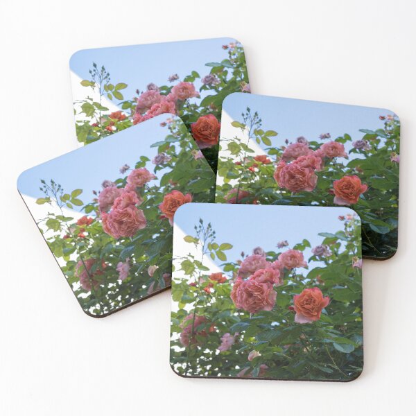 Item preview, Overhead Rosebush with Splendid Pink and Peach Rose Blooms designed and sold by Georgia Mizuleva.