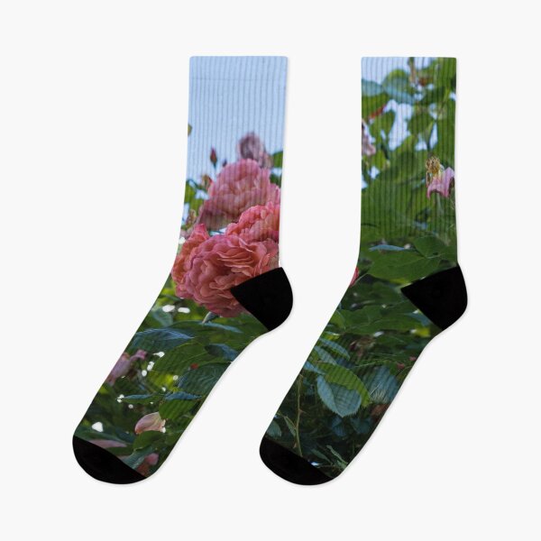 Item preview, Overhead Rosebush with Splendid Pink and Peach Rose Blooms designed and sold by Georgia Mizuleva.