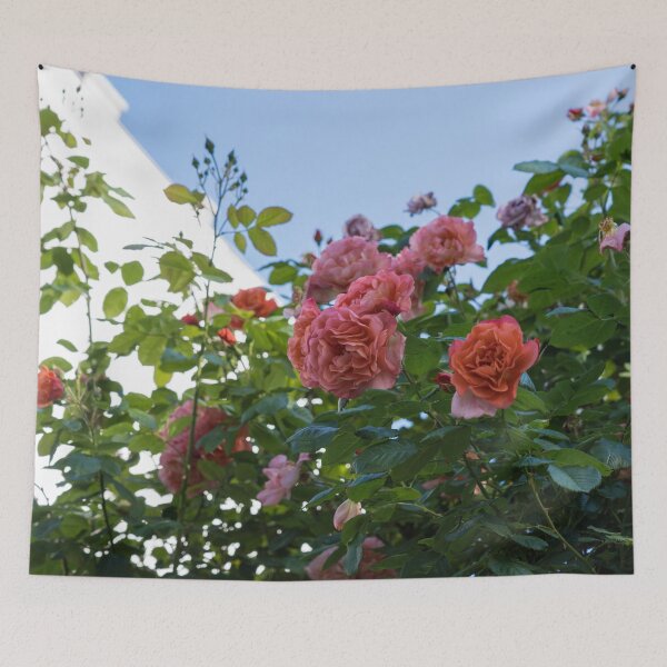 Item preview, Overhead Rosebush with Splendid Pink and Peach Rose Blooms designed and sold by Georgia Mizuleva.