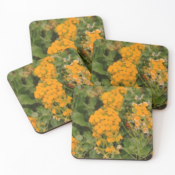 Item preview, Bundle of Wallflowers designed and sold by gistinker.