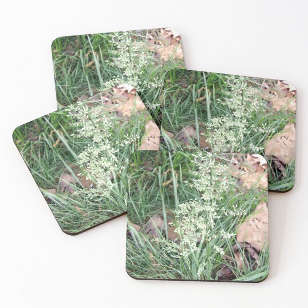 Item preview, Bluegrass Taking Off designed and sold by gistinker.