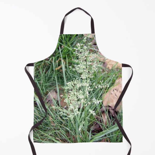 Item preview, Bluegrass Taking Off designed and sold by gistinker.