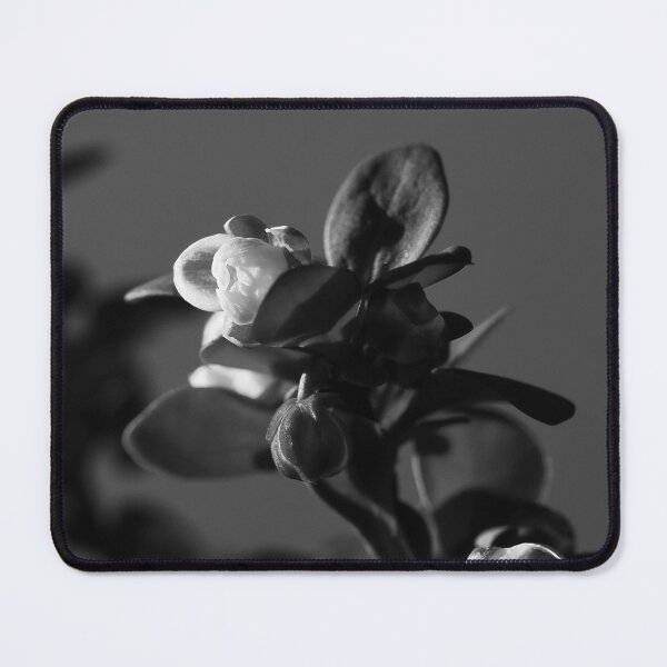 Item preview, Monochrome Barberry designed and sold by Cblifeisgood.