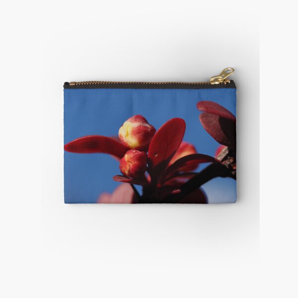 Item preview, Japanese Barberry  designed and sold by Cblifeisgood.