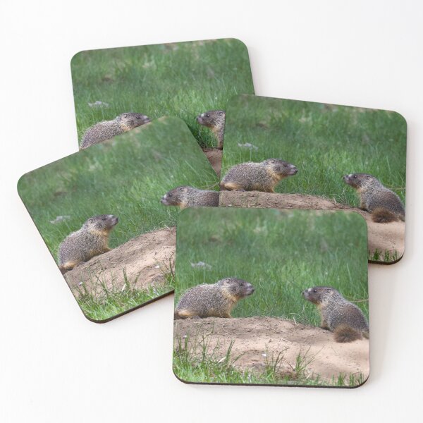 Item preview, Yellow-bellied marmot pups designed and sold by Cblifeisgood.