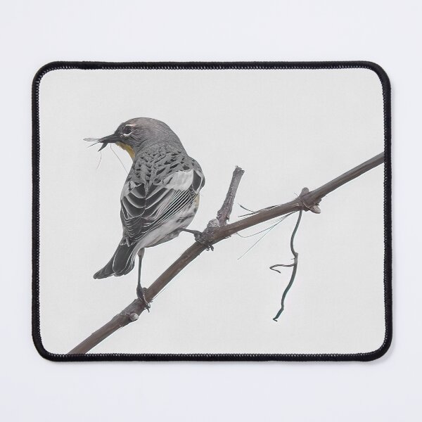 Item preview, Bird With Winged Insect designed and sold by CarolM.