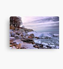 Icy Drama Canvas Print