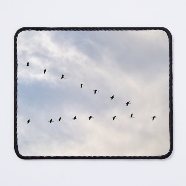 Item preview, Under the light clouds. Eurasian crane designed and sold by Jouko Lehto Photography.