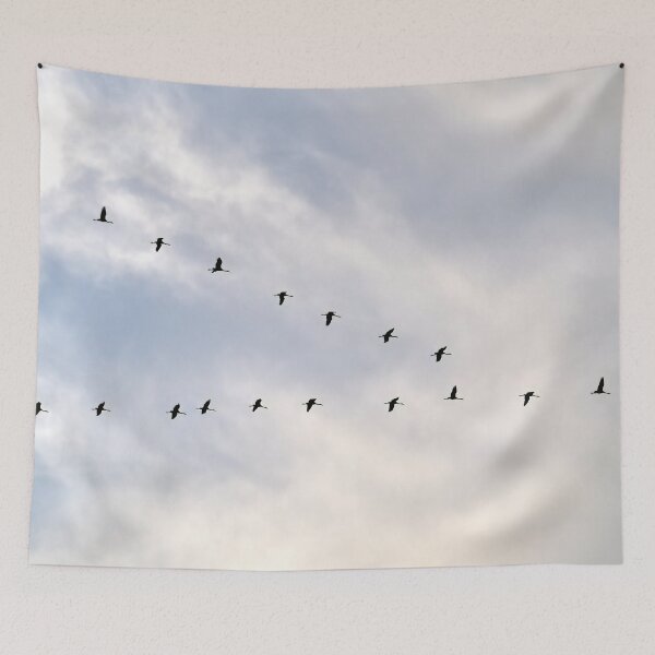 Item preview, Under the light clouds. Eurasian crane designed and sold by Jouko Lehto Photography.