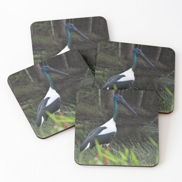 Item preview, Jabiru Black-necked Stork stunning designed and sold by Mark Grimsley.