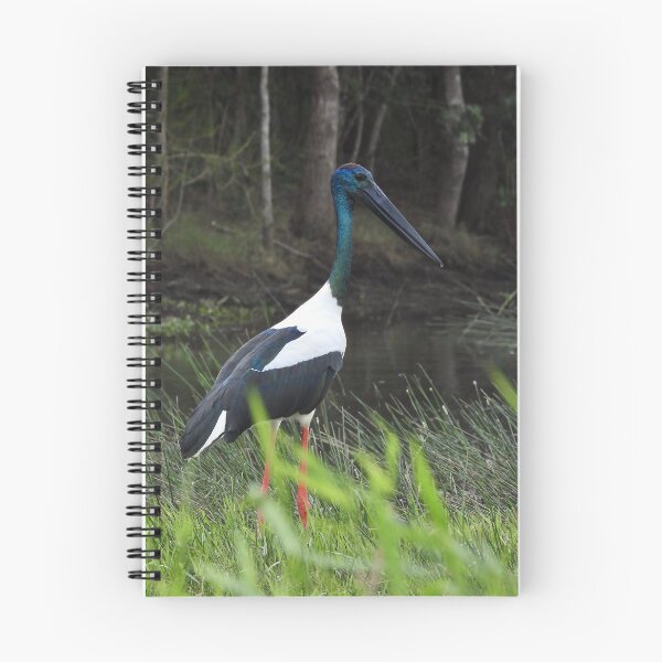 Item preview, Jabiru Black-necked Stork stunning designed and sold by Mark Grimsley.