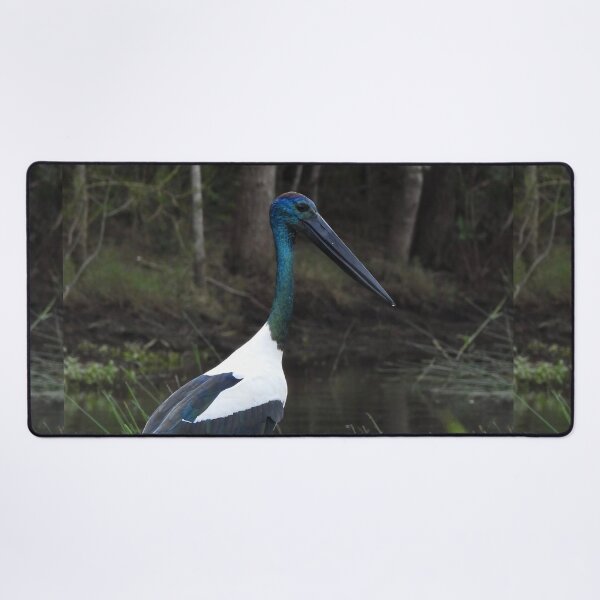 Item preview, Jabiru Black-necked Stork stunning designed and sold by Mark Grimsley.