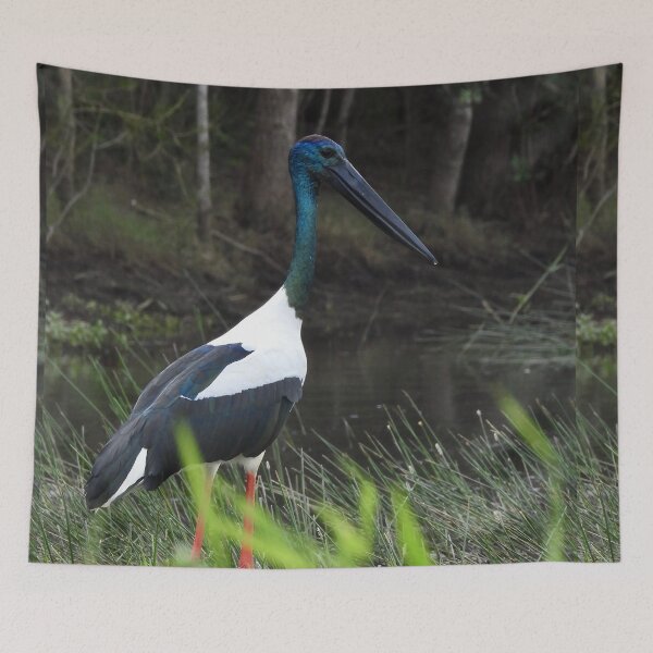 Item preview, Jabiru Black-necked Stork stunning designed and sold by Mark Grimsley.