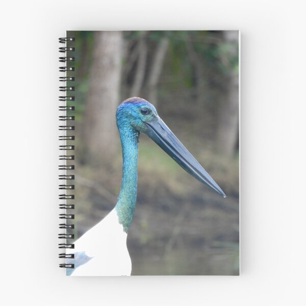 Item preview, Jabiru Black-necked Stork face designed and sold by Mark Grimsley.