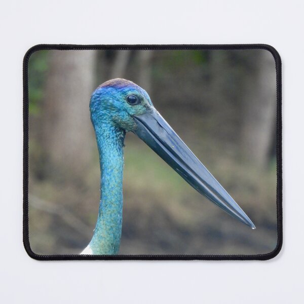 Item preview, Jabiru Black-necked Stork face designed and sold by Mark Grimsley.