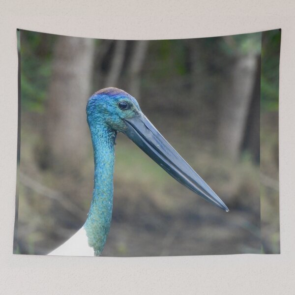 Item preview, Jabiru Black-necked Stork face designed and sold by Mark Grimsley.